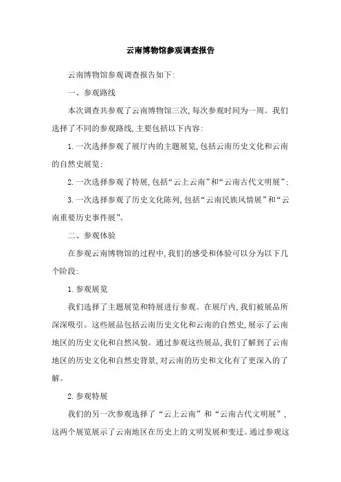 云南博物馆参观调查报告