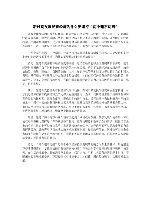新时期发展民营经济为什么要坚持“两个毫不动摇”