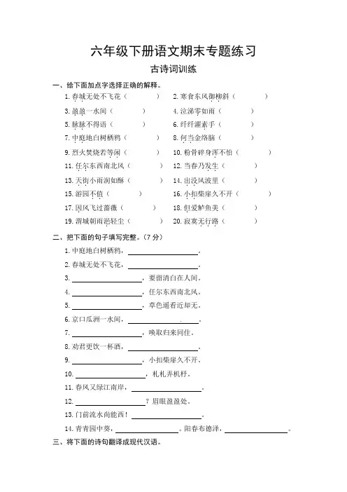 人教部编版六年级下册语文期末复习古诗词专项测评卷(含答案)