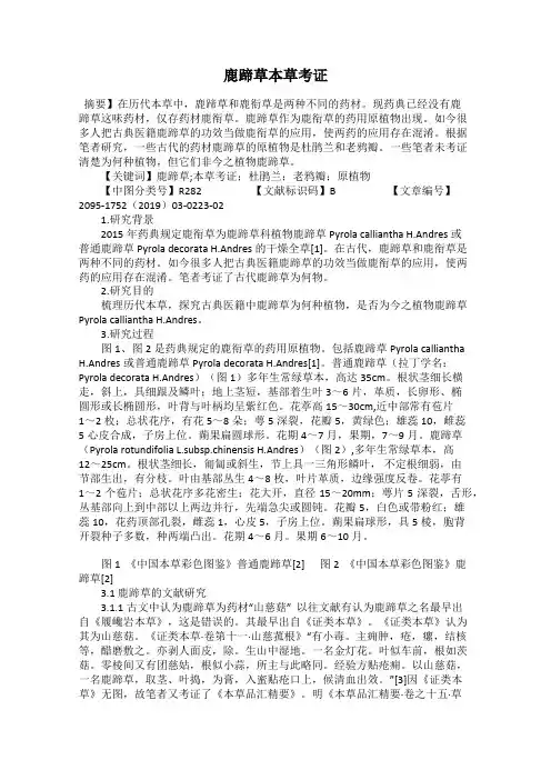 鹿蹄草本草考证