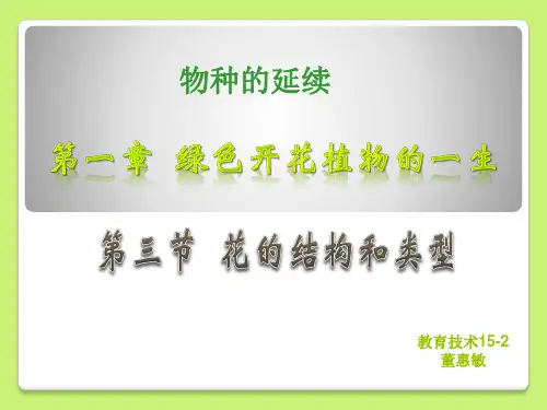 花的结构
