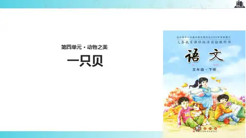 2021小学语文长春版五年级下册《一只贝》教学课件