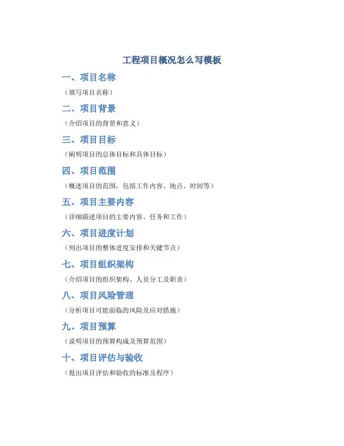 工程项目概况怎么写模板
