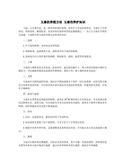 玉扇的养殖方法 玉扇的养护知识