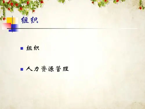 组织结构设计与人员配备(ppt 98页)