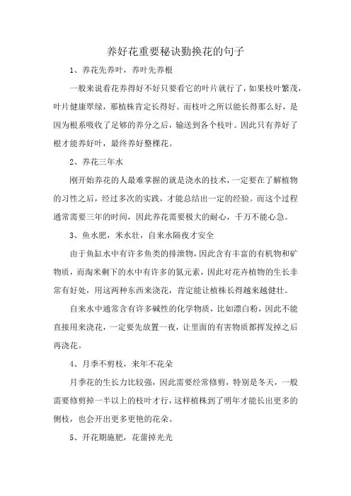 养好花重要秘诀勤换花的句子