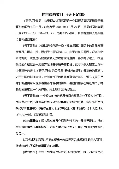 我喜欢的节目-天下足球