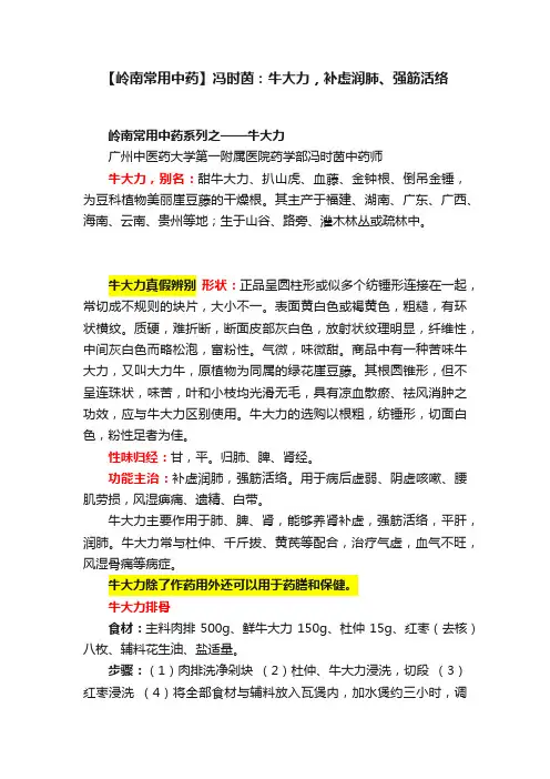 【岭南常用中药】冯时茵：牛大力，补虚润肺、强筋活络