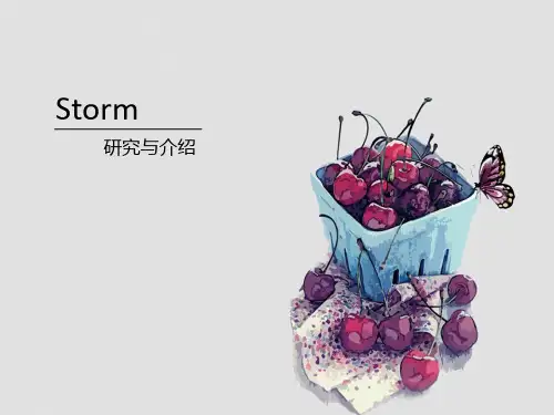 storm研究与介绍