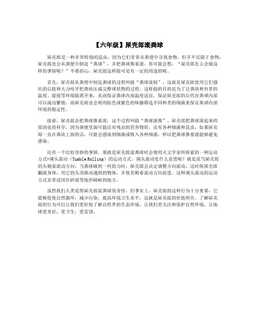 【六年级】屎壳郎滚粪球