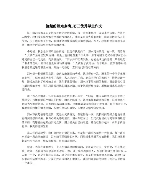 拾起的泪光点滴_初三优秀学生作文