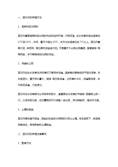 蓝花丹的养殖方法和注意事项
