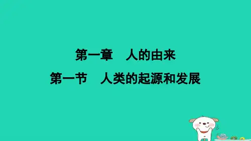 福建省七年级生物下册第四单元第一章人的由来第一节人类的起源和发展新版新人教版