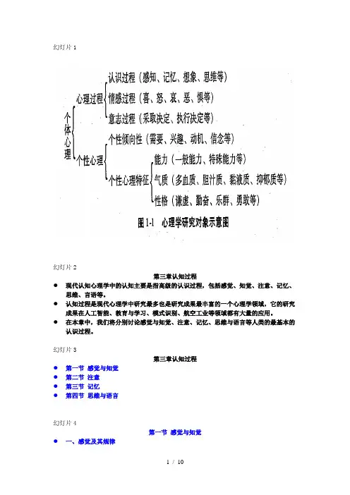 第三章认知过程