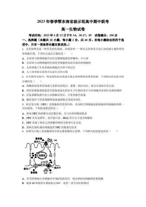 湖北省鄂东南省级示范高中2022-2023学年高一下学期期中联考生物试卷