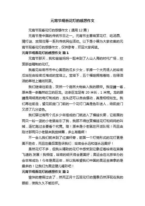 元宵节观看花灯的感想作文