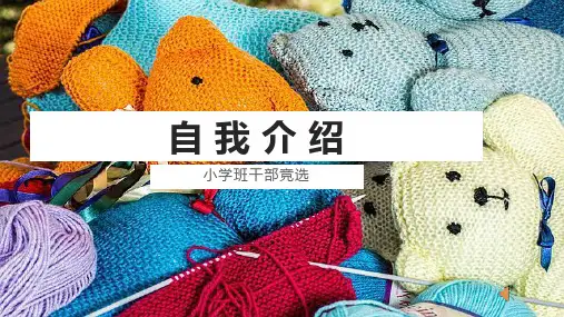 小学生竞选班干部个性自我介绍PPT