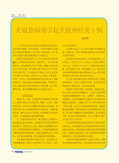 犬瘟热病毒引起犬视神经炎1例