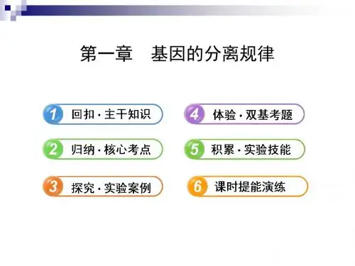 2.2.1基因的分离规律配套课件 中图版必修2