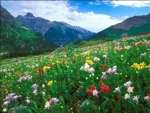 八年级物理第九章第二节液体的压强课件(最新修改)