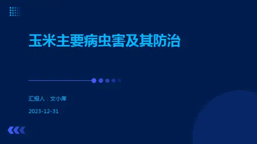 玉米主要病虫害及其防治