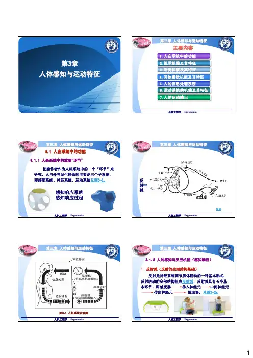 第三章人体感知与运动特征
