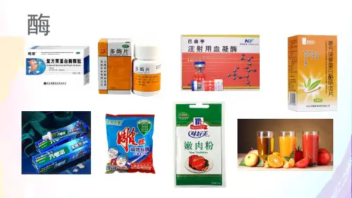 4.1 果胶酶在果汁生产中的作用 课件  (29张PPT)