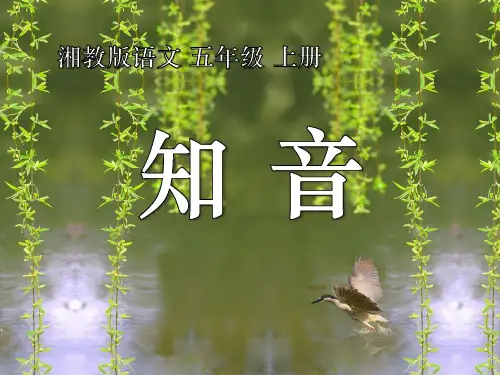湘教版五年级语文上册《知音》PPT课件(3篇)