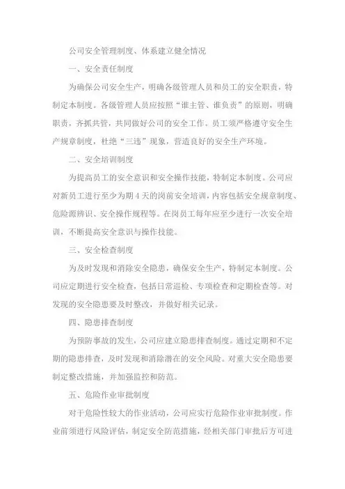 公司安全管理制度、体系建立健全情况