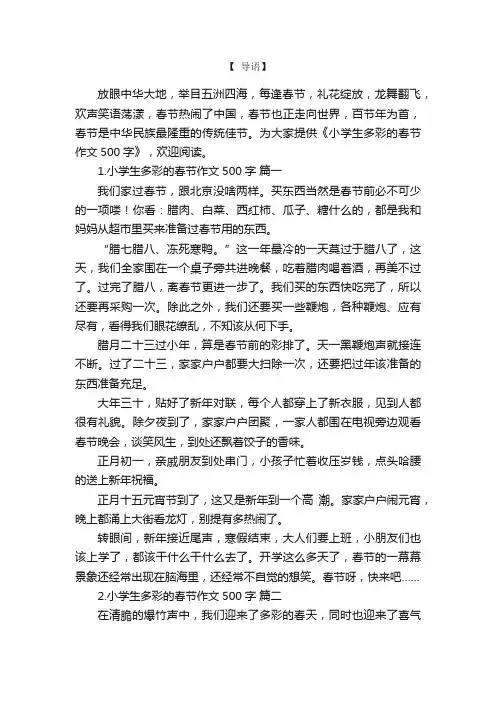 小学生多彩的春节作文500字