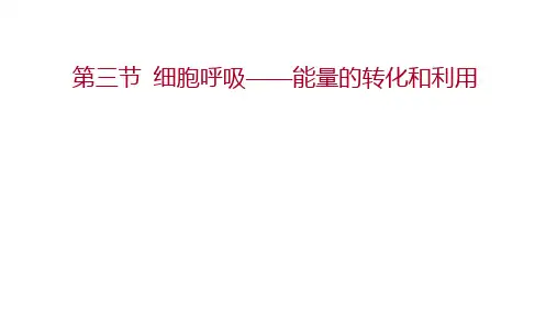 第三章  第三节细胞呼吸——能量的转化和利用  课件 