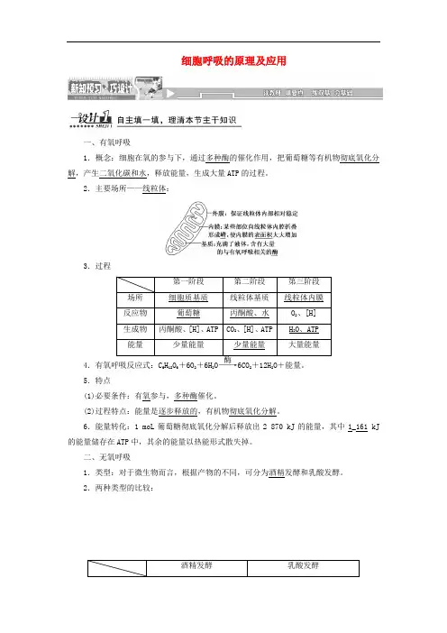 高中生物第章第节第课时细胞呼吸的原理及应用教案