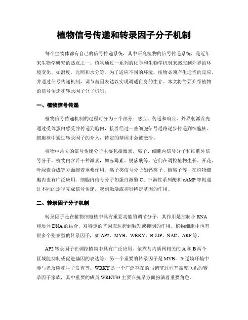 植物信号传递和转录因子分子机制
