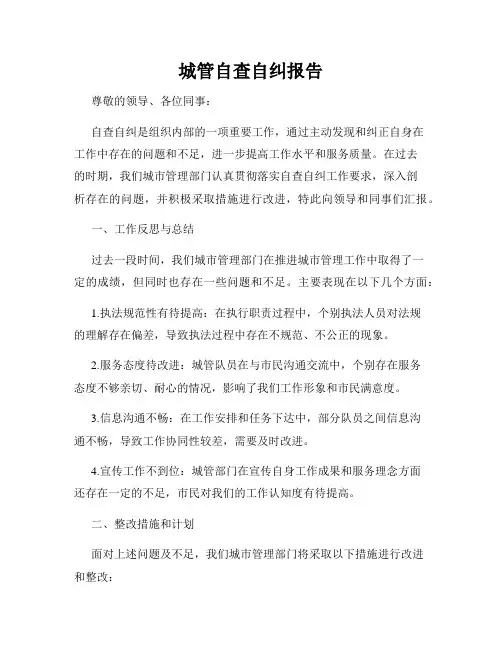 城管自查自纠报告