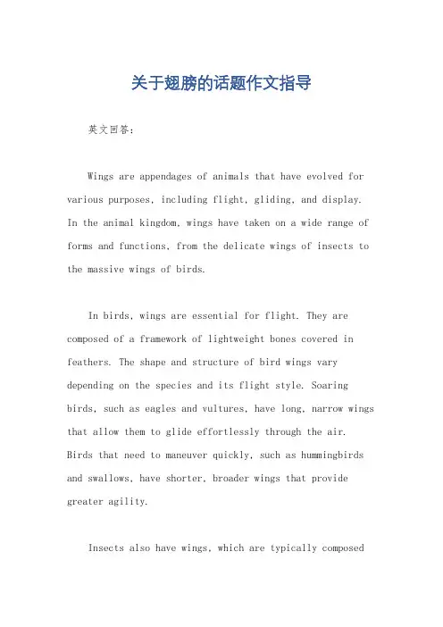 关于翅膀的话题作文指导