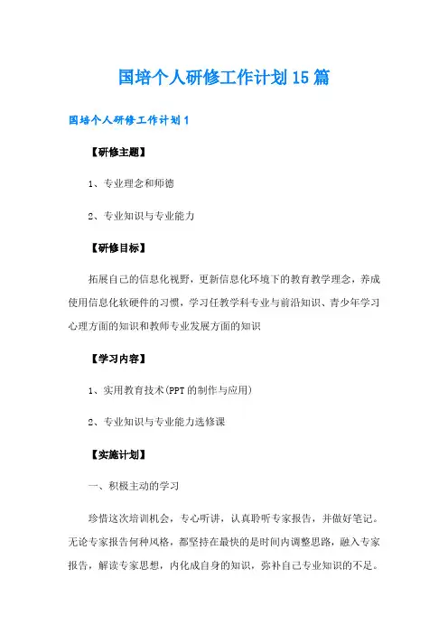 国培个人研修工作计划15篇