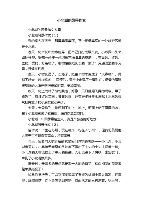 小北湖的风景作文5篇