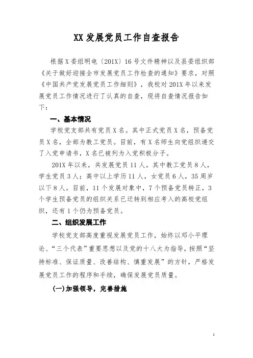 发展党员工作自查报告