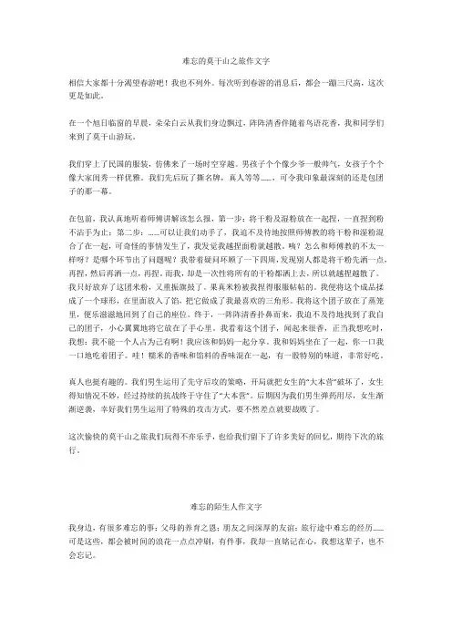 难忘的陌生人作文800字