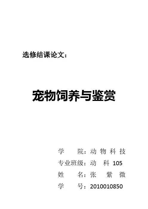 宠物鉴赏结课论文