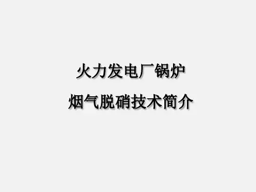 脱硝技术介绍