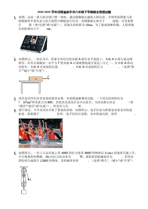 2022-2023学年河南省新乡市八年级下学期期末物理试题