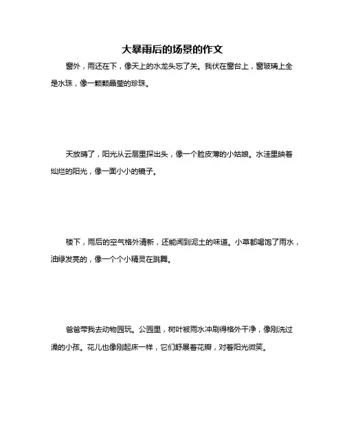 大暴雨后的场景的作文