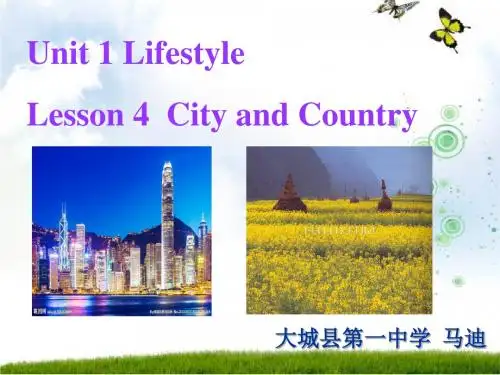 北师大版必修一高一上学期英语unit1 _Lesson 4 City and Country (共29张PPT)
