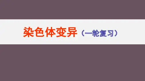 2023届高三生物一轮复习课件：染色体变异