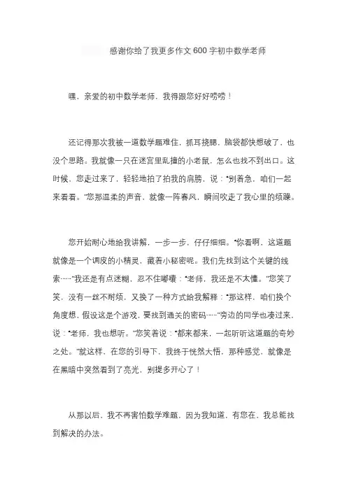 感谢你给了我更多作文600字初中数学老师
