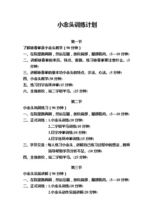 咏春拳训练计划