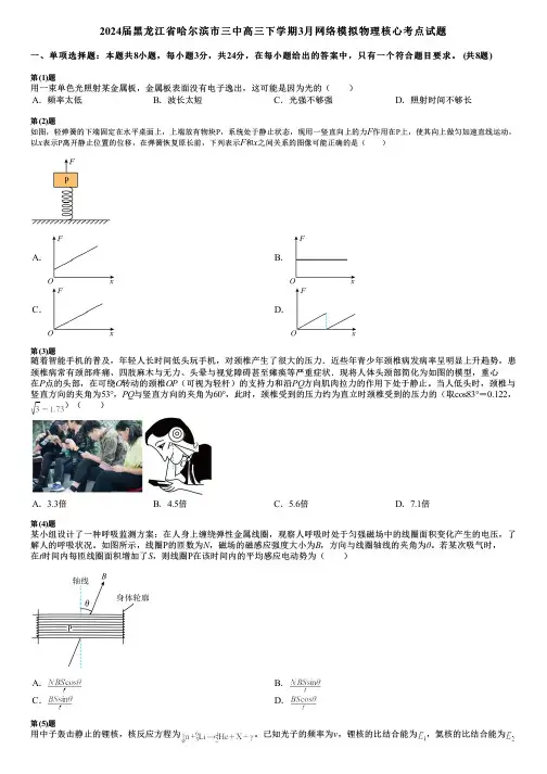 2024届黑龙江省哈尔滨市三中高三下学期3月网络模拟物理核心考点试题
