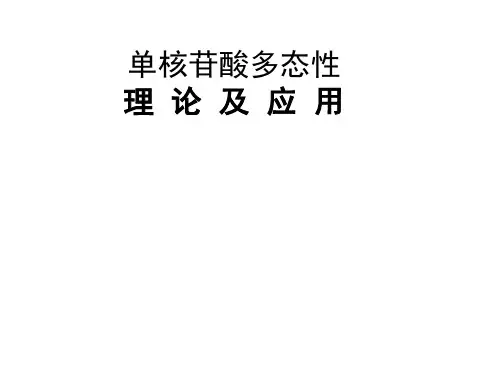单核苷酸多态性理论及应用