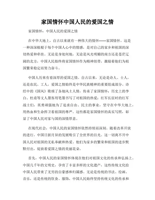 家国情怀中国人民的爱国之情